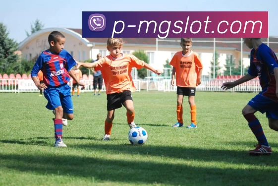 MG电子官网发展历程